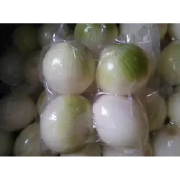 Frozen Onion (14)-6550981-70413.webp